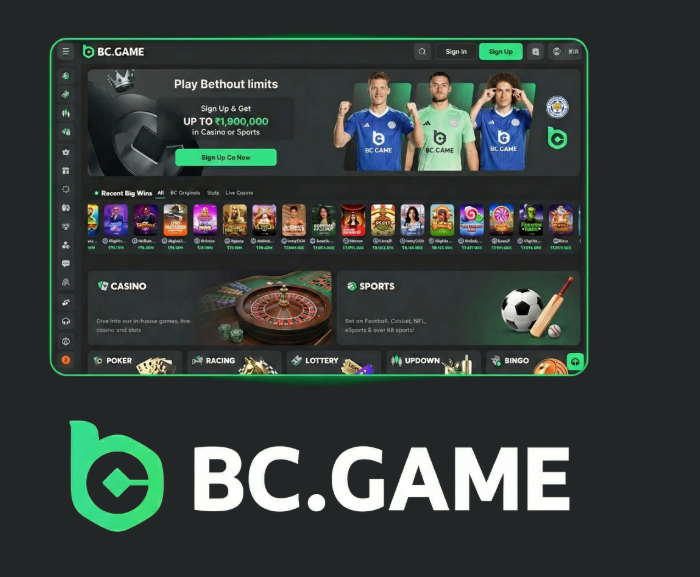 Exploring BC.Game Casino and Sportsbook A Comprehensive Guide -295116822