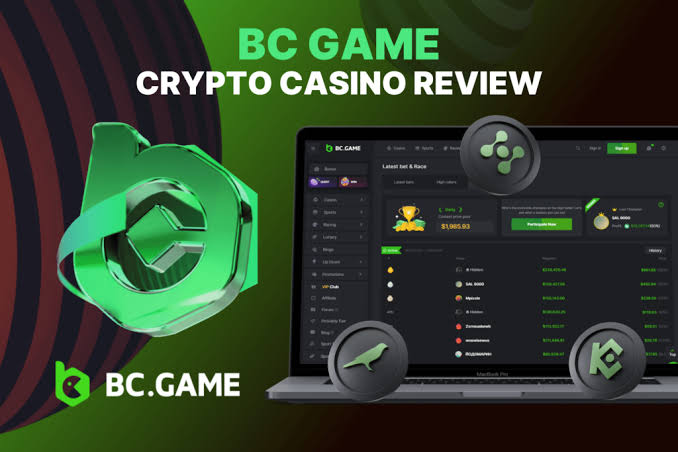 Maximize Your Winnings with BC.Game Bonuses